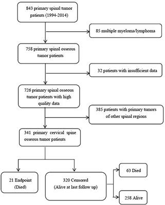 Medium to long term follow-up of survival and quality of life in patients with primary tumors of the cervical spine: Experience From a large single center